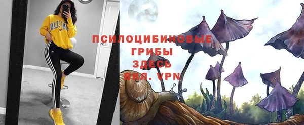 таблы Дмитриев