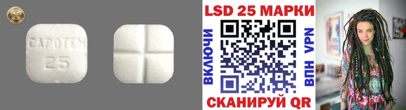 Купить закладки  Канаш  ЛСД экстази кислота 