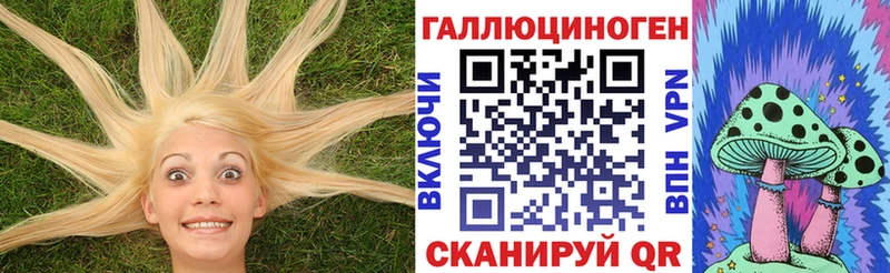 Купить  Канаш  Галлюциногенные грибы мицелий 
