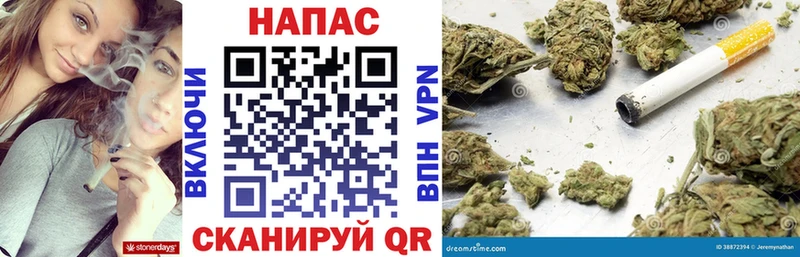 Купить закладки  Канаш  Бошки Шишки THC 21% 